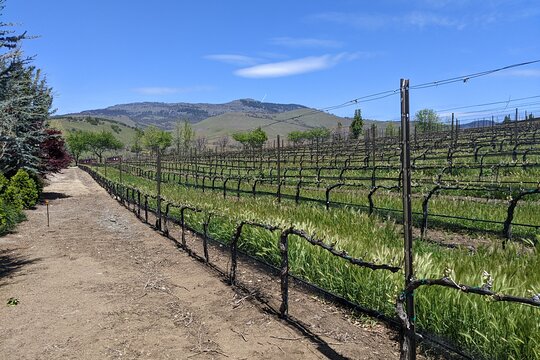 Tour image 6